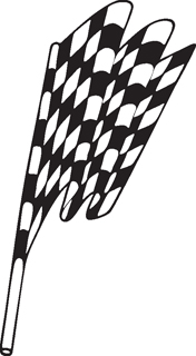 Checkered Flags 49